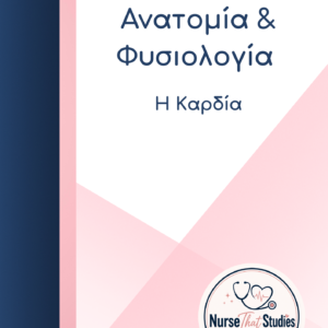 ΑΝΑΤΟΜΙΑ – ΦΥΣΙΟΛΟΓΙΑ | Η ΚΑΡΔΙΑ