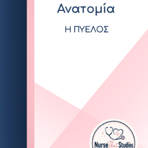 ΑΝΑΤΟΜΙΑ Ι – Η ΠΥΕΛΟΣ