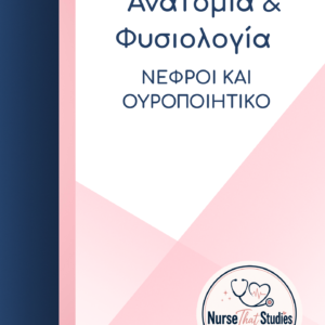 ΑΝΑΤΟΜΙΑ – ΦΥΣΙΟΛΟΓΙΑ | ΝΕΦΡΟΙ ΚΑΙ ΟΥΡΟΠΟΙΗΤΙΚΟ
